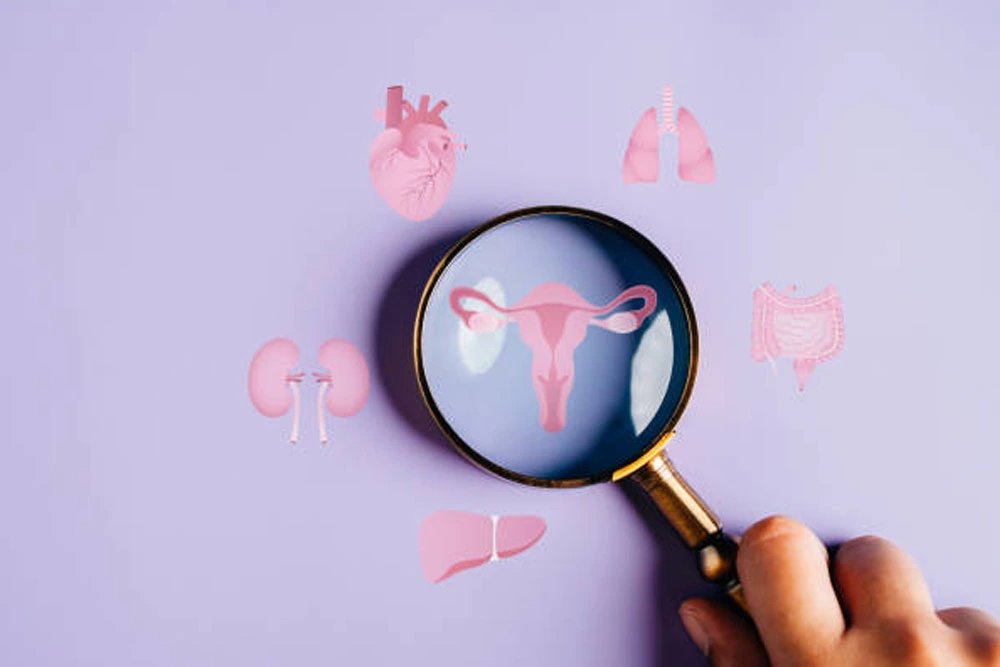 Comprehensive Guide to IVF Treatment: From Consultation to Success